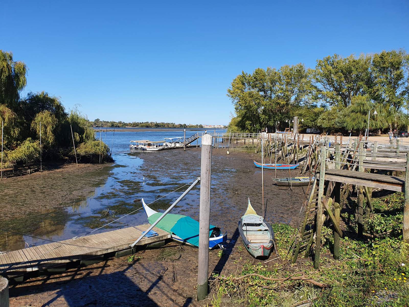 Tejo ribatejano (Escaroupim)